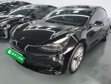 Tesla Model 3 2021 Tesla Model 3 2021 car image
