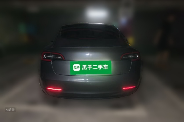 Tesla Model 3 2020 car image #6