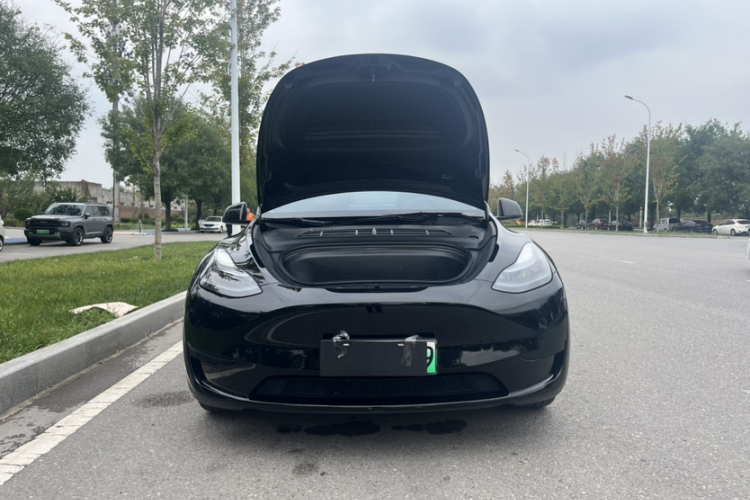 Tesla Model Y 2023 #5 Tesla Model Y 2023 car image #5
