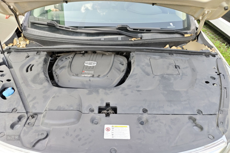 GEELY Emgrand GS 2020 صورة سيارة #22