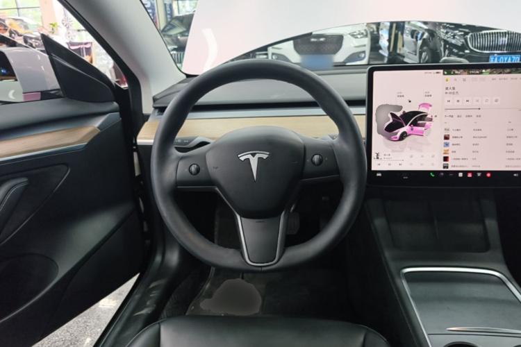 Tesla Model 3 2022 immagine di auto #15