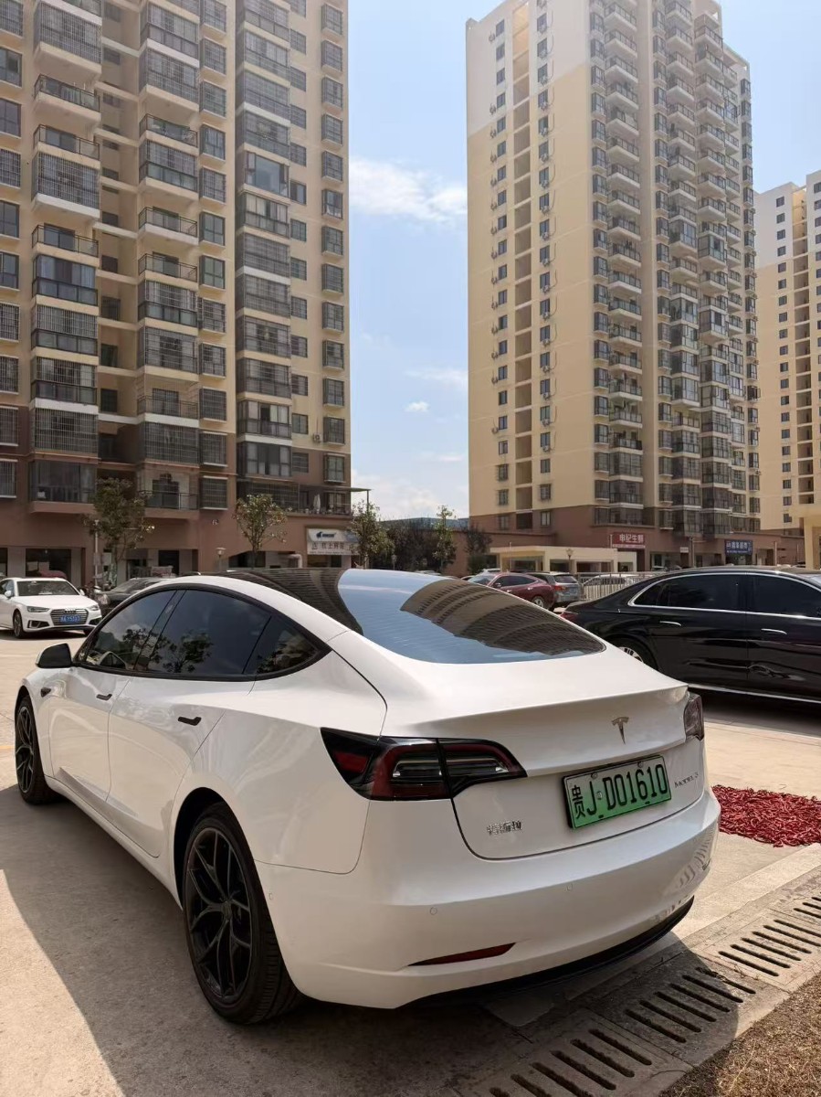 Tesla Model 3 2021 imagem de carro #6