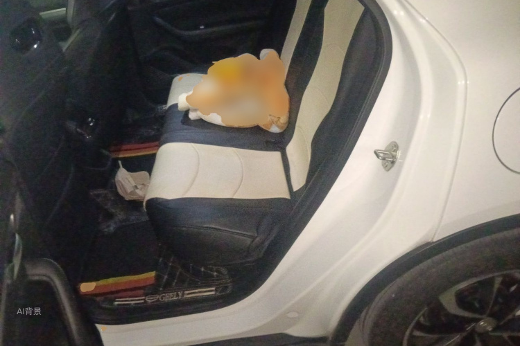 GEELY Emgrand S 2022 car image #19
