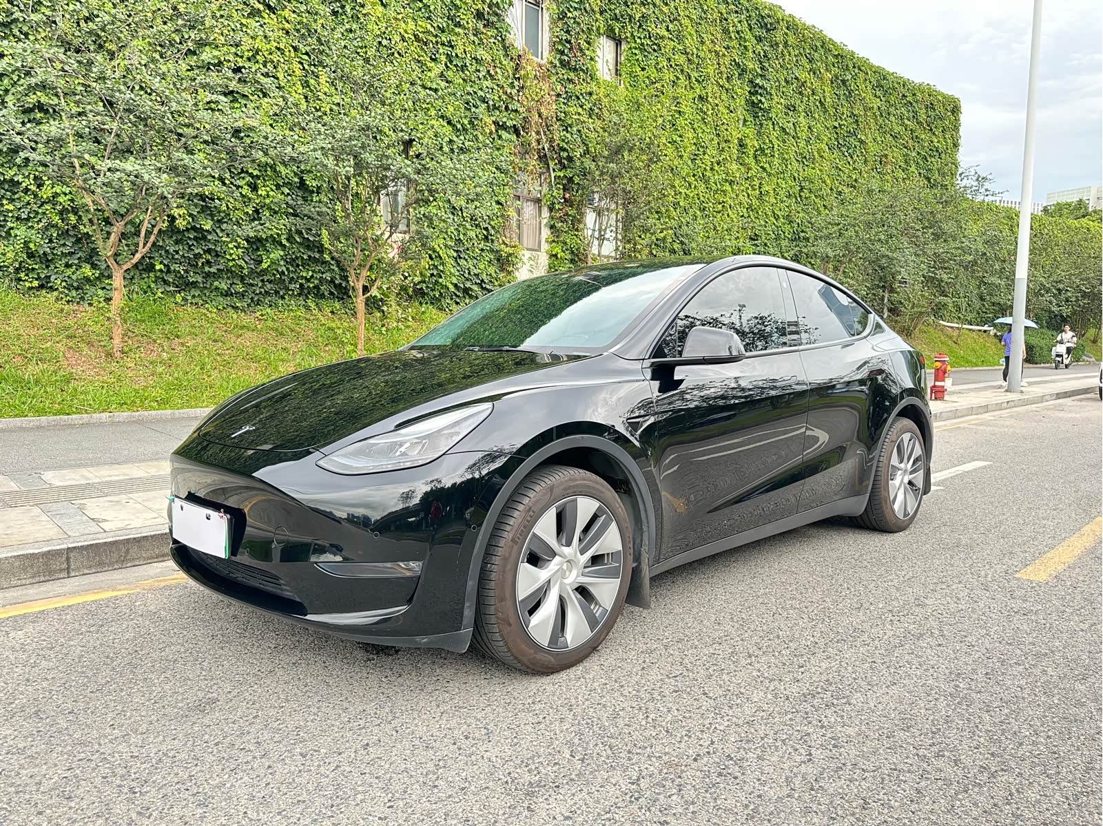 Tesla Model Y 2023 Tesla Model Y 2023 car image