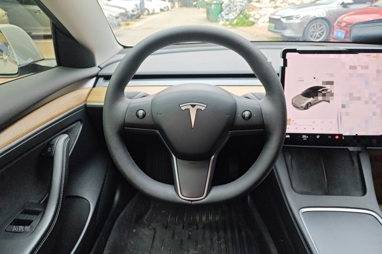 Tesla Model 3 2021 car image #12