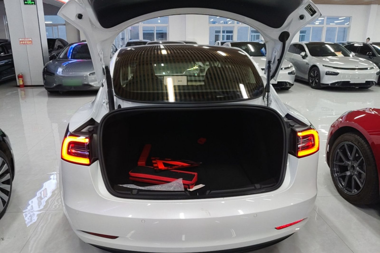 Tesla Model 3 2022 immagine di auto #19