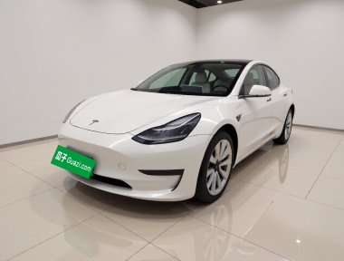 Tesla Model 3 2020 Tesla Model 3 2020 car image