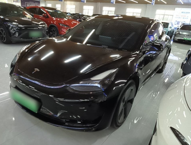Tesla Model 3 2022 Tesla Model 3 2022 car image