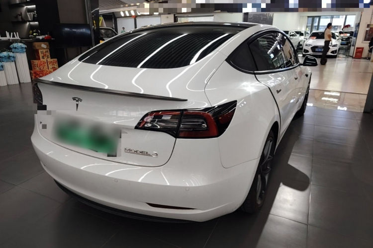 Tesla Model 3 2021 #7 Tesla Model 3 2021 car image #7