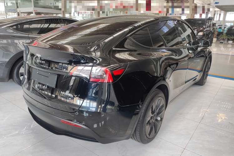 Tesla Model Y 2023 #7 Tesla Model Y 2023 car image #7