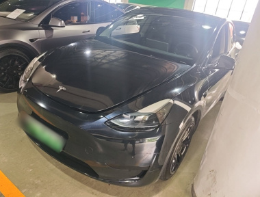 Tesla Model Y 2022 Tesla Model Y 2022 car image