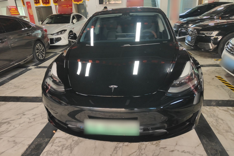 Tesla Model 3 2020 car image #3
