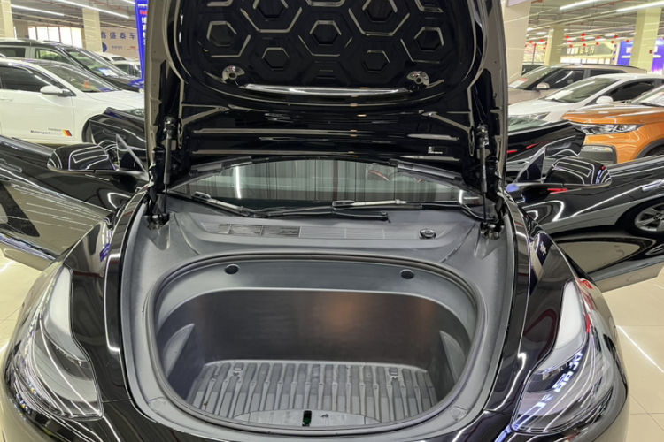 Tesla Model 3 2021 car image #24