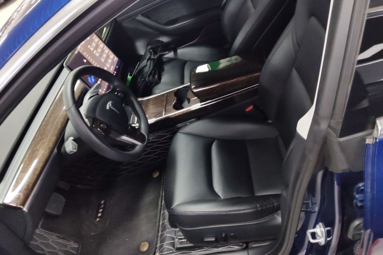 Tesla Model 3 2020 car image #15