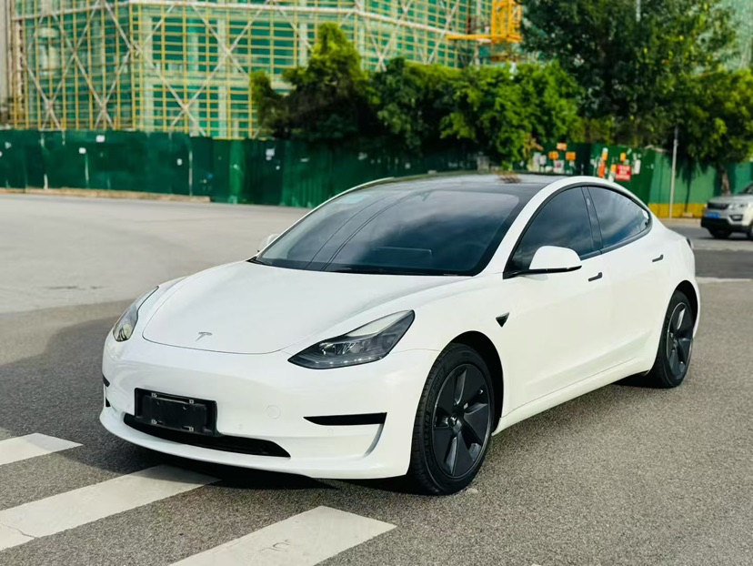 Tesla Model 3 2022 Tesla Model 3 2022 car image