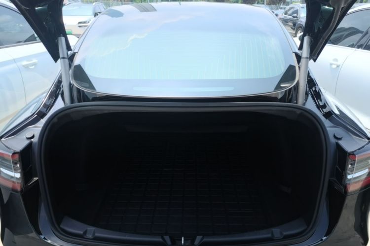 Tesla Model 3 2020 car image #21