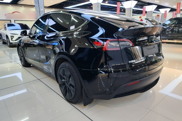 Tesla Model Y 2024 immagine di auto #5