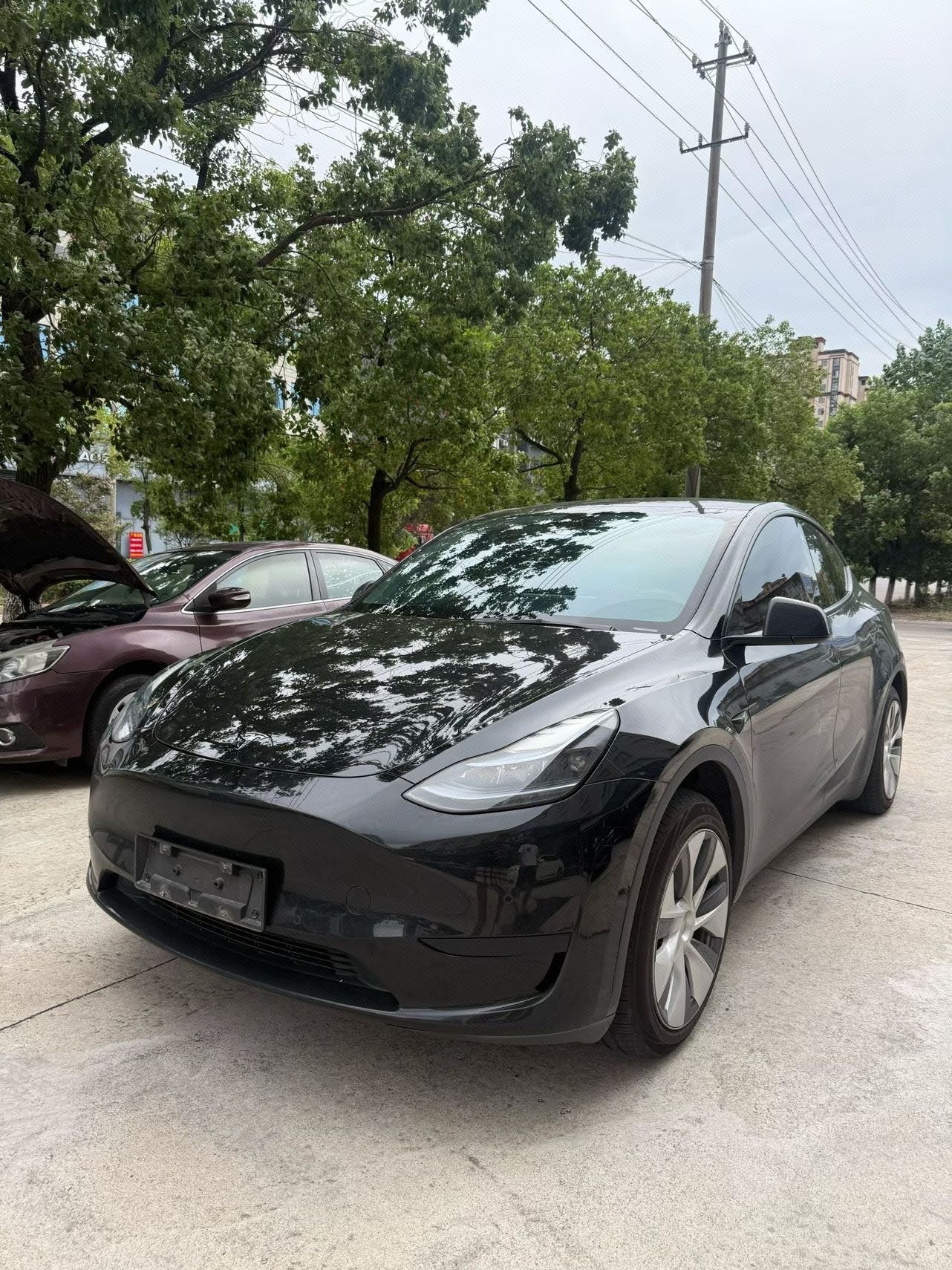 Tesla Model Y 2023 car image 