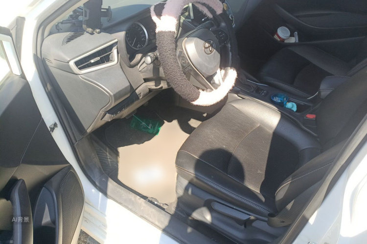 Toyota Corolla 2021 car image #18
