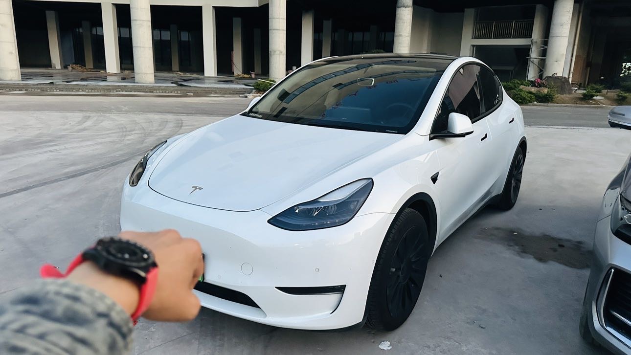 Tesla Model Y 2021 Tesla Model Y 2021 car image