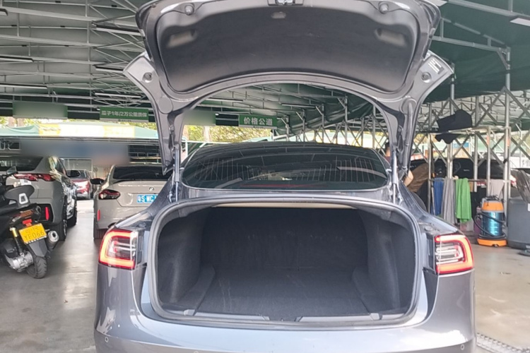 Tesla Model 3 2020 car image #19