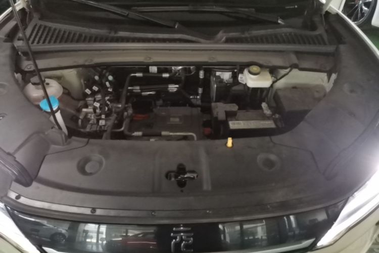 BYD YuanUP 2024 car image #22