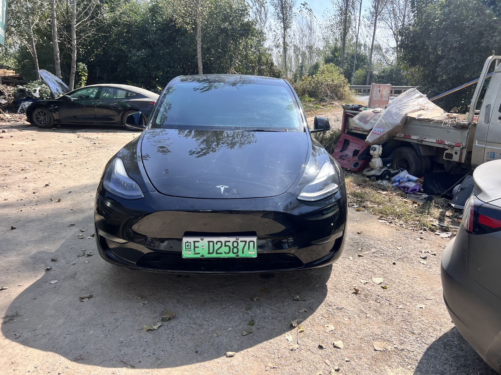 Tesla Model Y 2021 immagine di auto #2