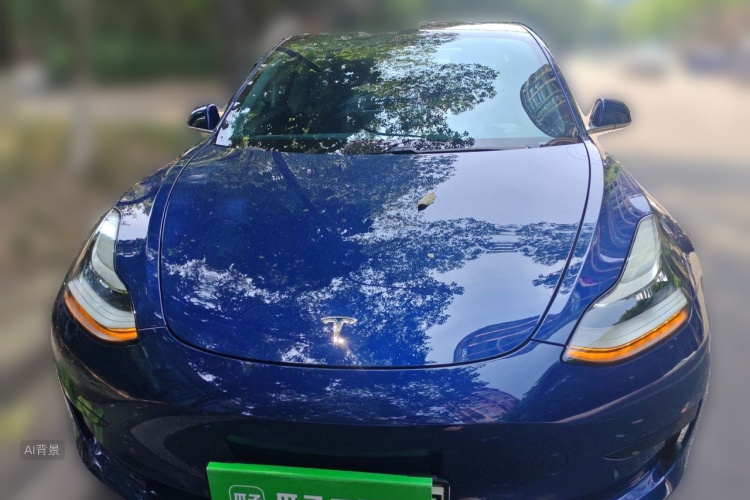 Tesla Model 3 2020 car image #3