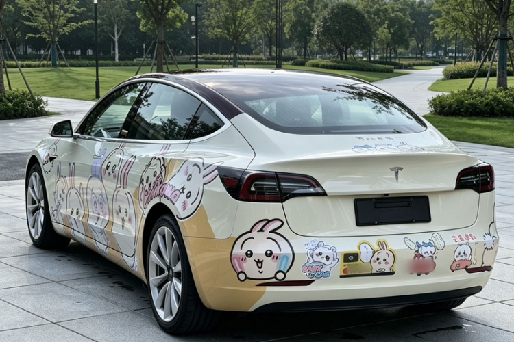 Tesla Model 3 2020 #8 Tesla Model 3 2020 car image #8