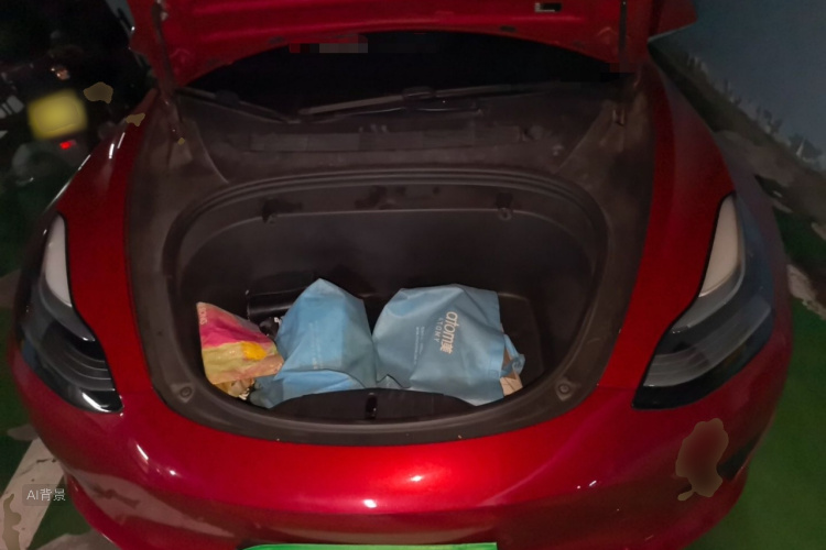 Tesla Model 3 2020 car image #22