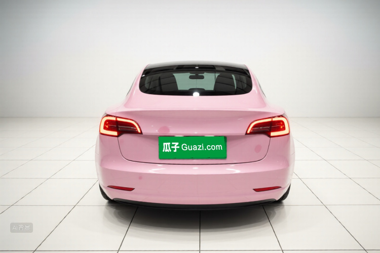 Tesla Model 3 2022 car image #6