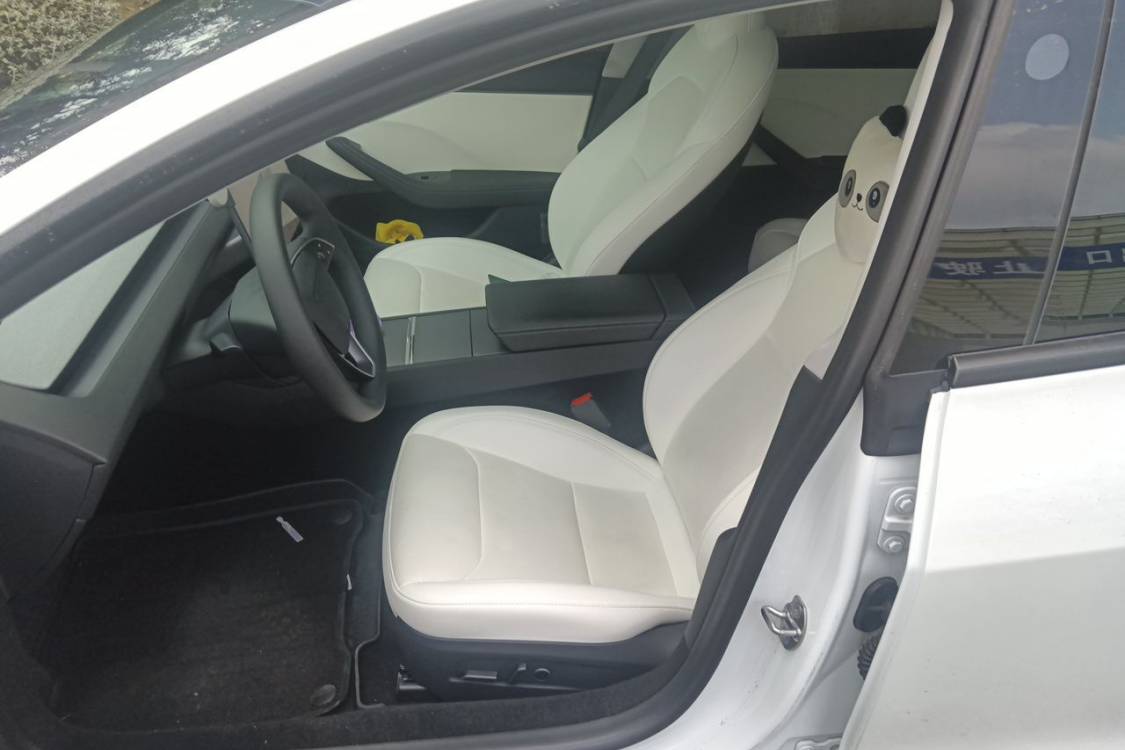 Tesla Model 3 2025 #18 Tesla Model 3 2025 car image #18
