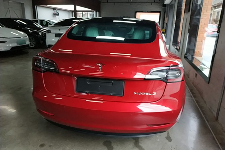 Tesla Model 3 2020 car image #6