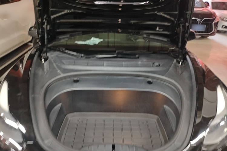 Tesla Model 3 2021 #24 Tesla Model 3 2021 car image #24