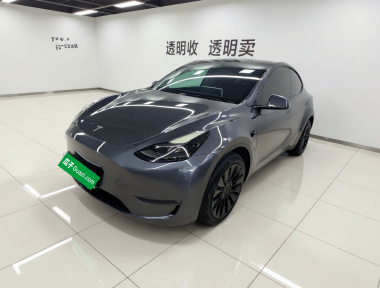 Tesla Model Y 2021 Tesla Model Y 2021 car image