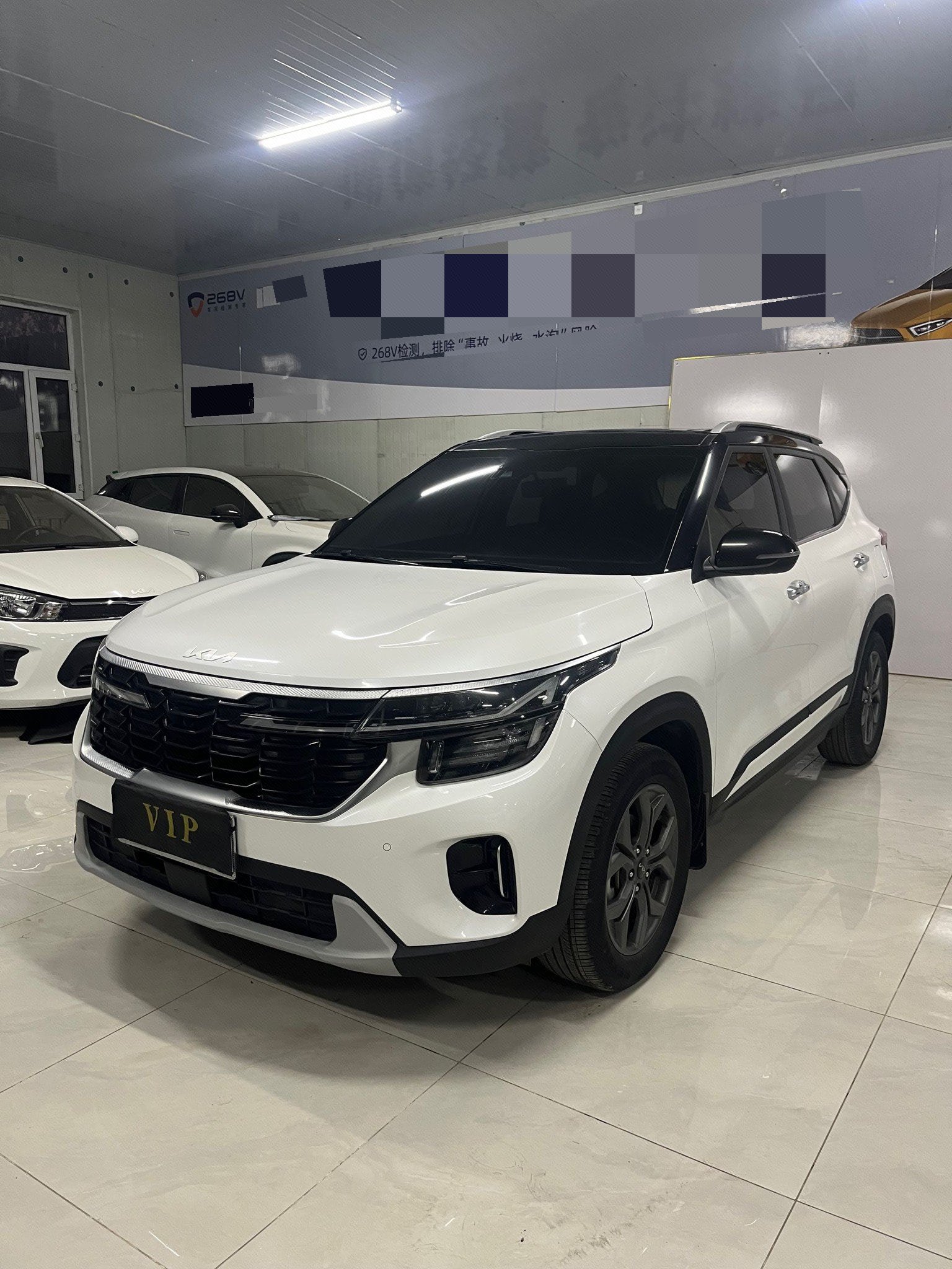 Kia Seltos 2023 Kia Seltos 2023 car image