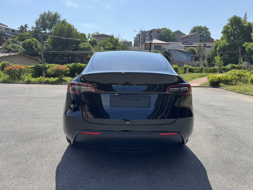 Tesla Model Y 2021 car image #8