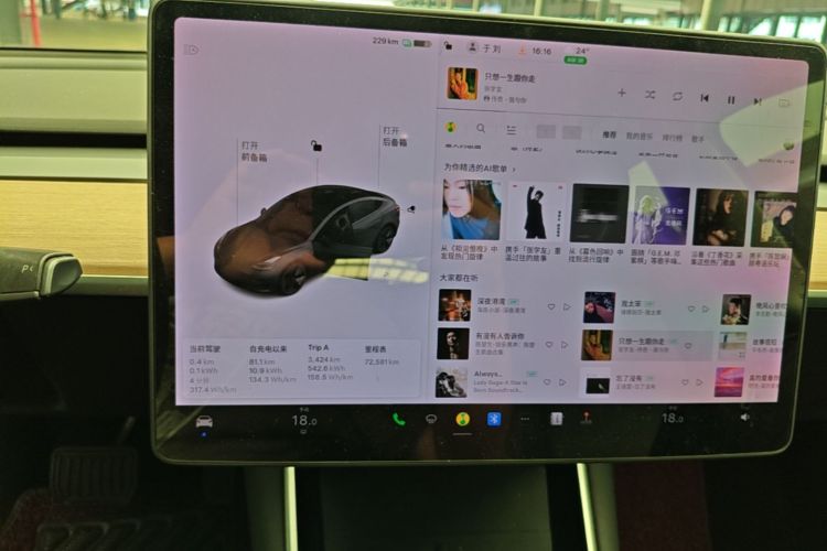 Tesla Model 3 2020 car image #16