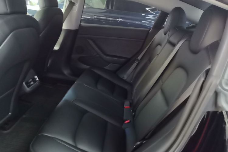 Tesla Model 3 2022 car image #17