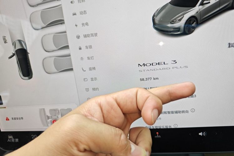 Tesla Model 3 2021 car image #14