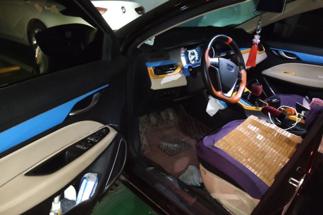 GEELY Emgrand 2019 car image #23