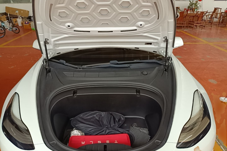 Tesla Model 3 2019 imagem de carro #22