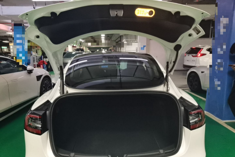 Tesla Model 3 2021 #19 Tesla Model 3 2021 immagine di auto #19