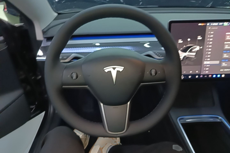 Tesla Model 3 2022 car image #11