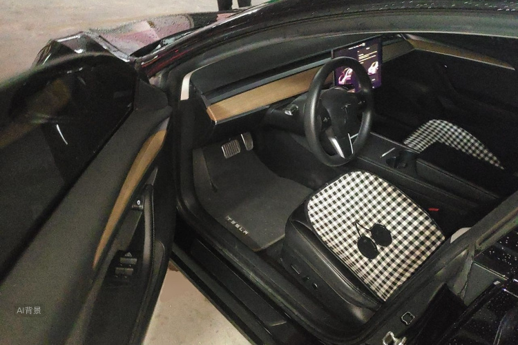 Tesla Model 3 2021 car image #18