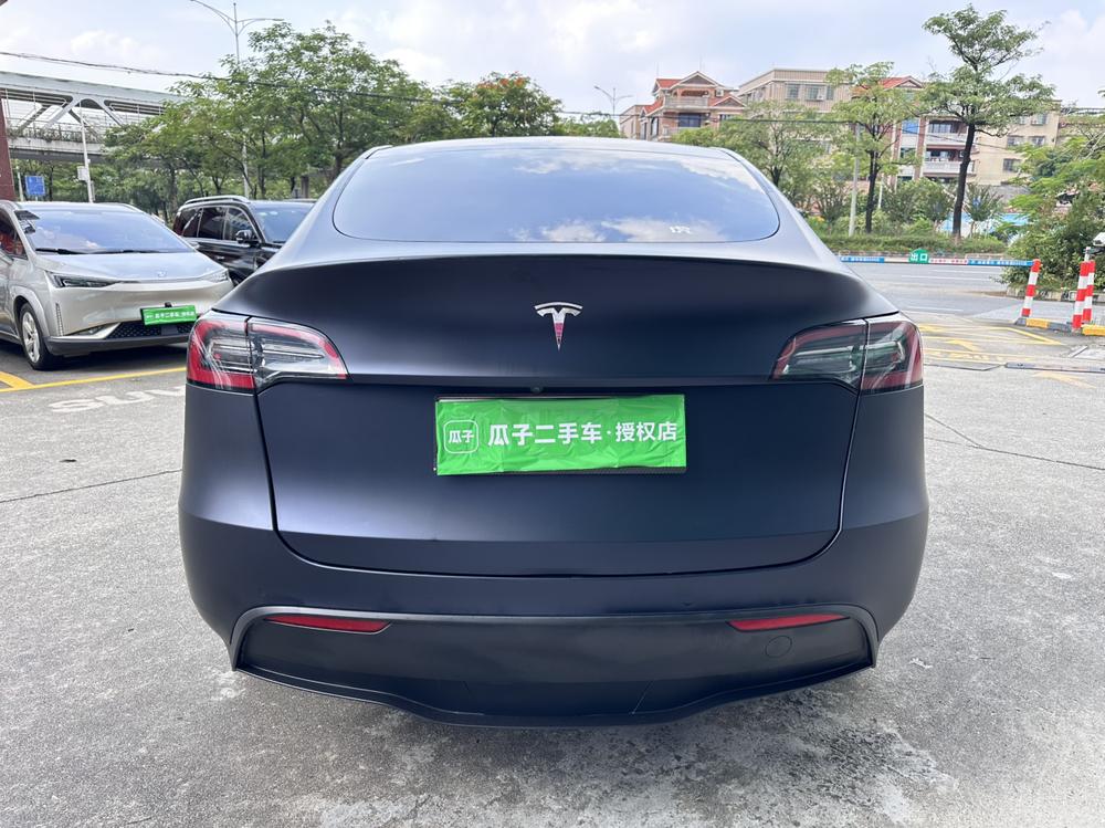 Tesla Model Y 2021 car image #6