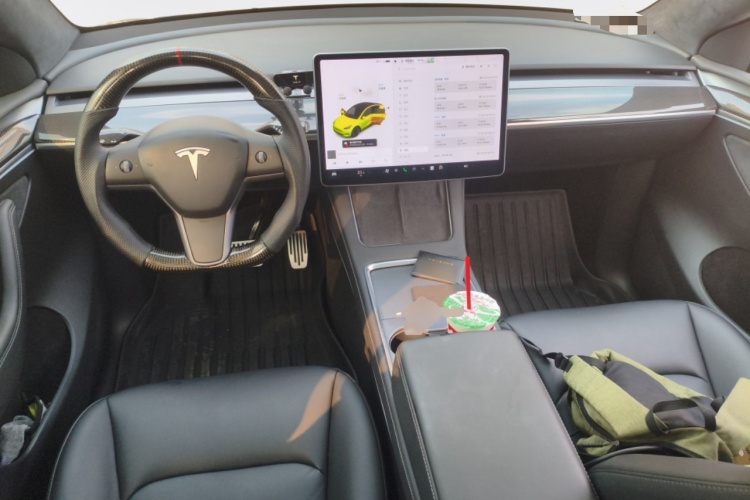 Tesla Model Y 2021 car image #12