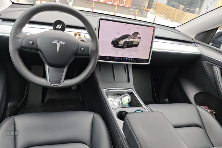Tesla Model Y 2023 #11 Tesla Model Y 2023 car image #11