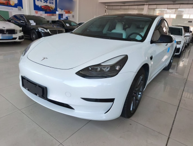 Tesla Model 3 2021 Tesla Model 3 2021 car image