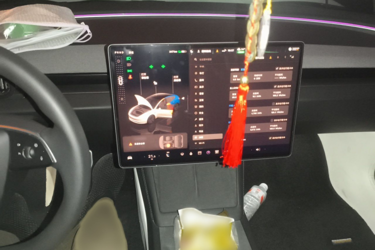 Tesla Model 3 2023 car image #17